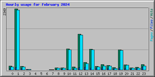 Hourly usage for February 2024